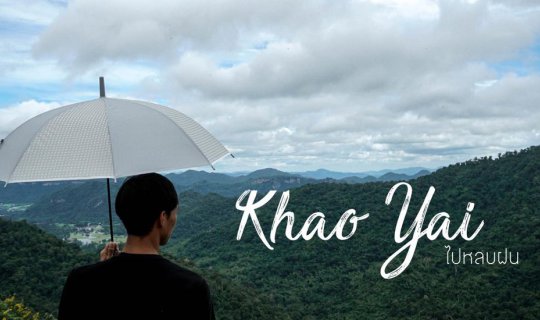cover Seeking shelter from the rain on Khao Yai Mountain.