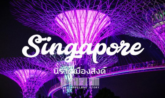 Cover Singapore: A Day Trip to the Lion City...