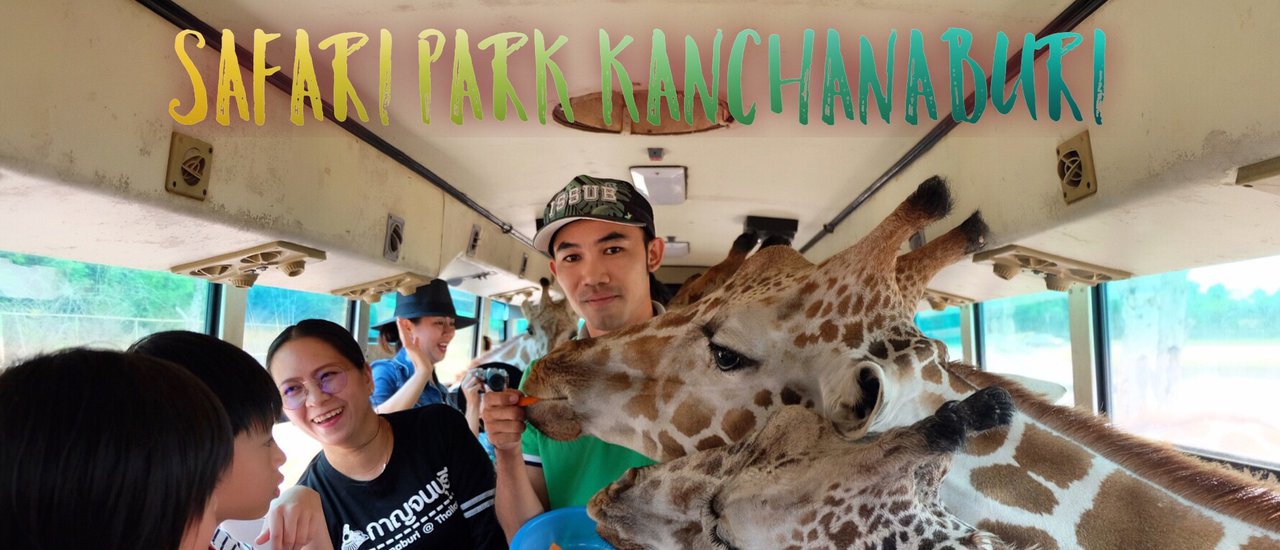 cover Fun and excitement feeding giraffes at Safari Park Open Zoo, Kanchanaburi.