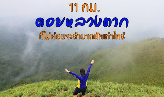 Cover 11 km to Doi Luang Tak is not that difficult....