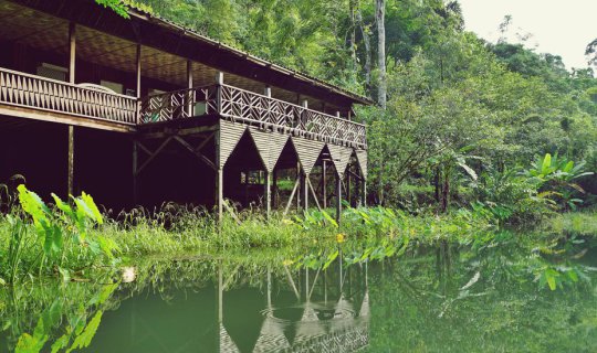 cover @@@ Aunt Glen's house...a small house in a big forest that gives a lot of happiness.@@@