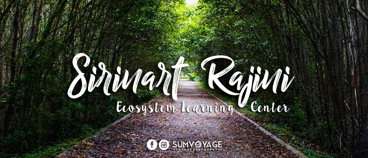 cover Sirinat National Park | Pranburi ... Mother's forest where our father used to go.