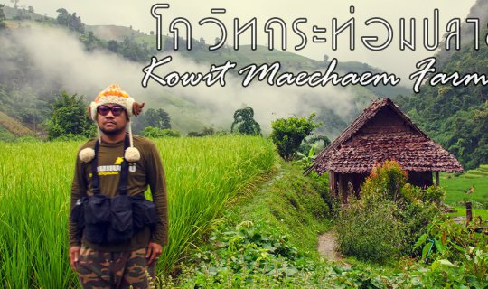 cover Govit Khum Phlana Farmstay: A Mountain Retreat in Mae Chaem, Chiang Mai