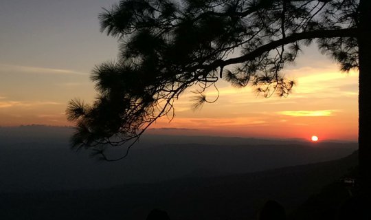 cover Hike and Camp at Phu Kradueng: 3 Days, 2 Nights 
This translation keeps the original meaning of the title while being concise and informative in English.
