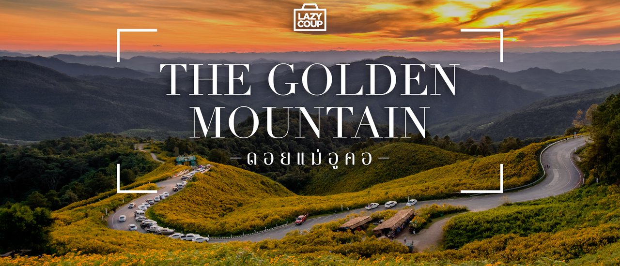 cover << Lazy Coup >> When the mountains turn golden yellow, Tung Bua Tong, Mae Hong Son