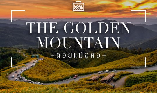 cover << Lazy Coup >> When the mountains turn golden yellow, Tung Bua Tong, Mae Hong Son