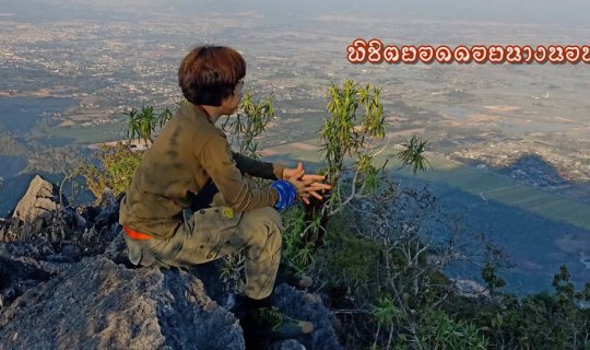 cover Phichit Yot Doi Nang Non (Doi Chong)