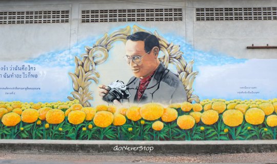 cover A Glimpse of King Bhumibol Adulyadej (Rama IX) in Street Art of Two Cities