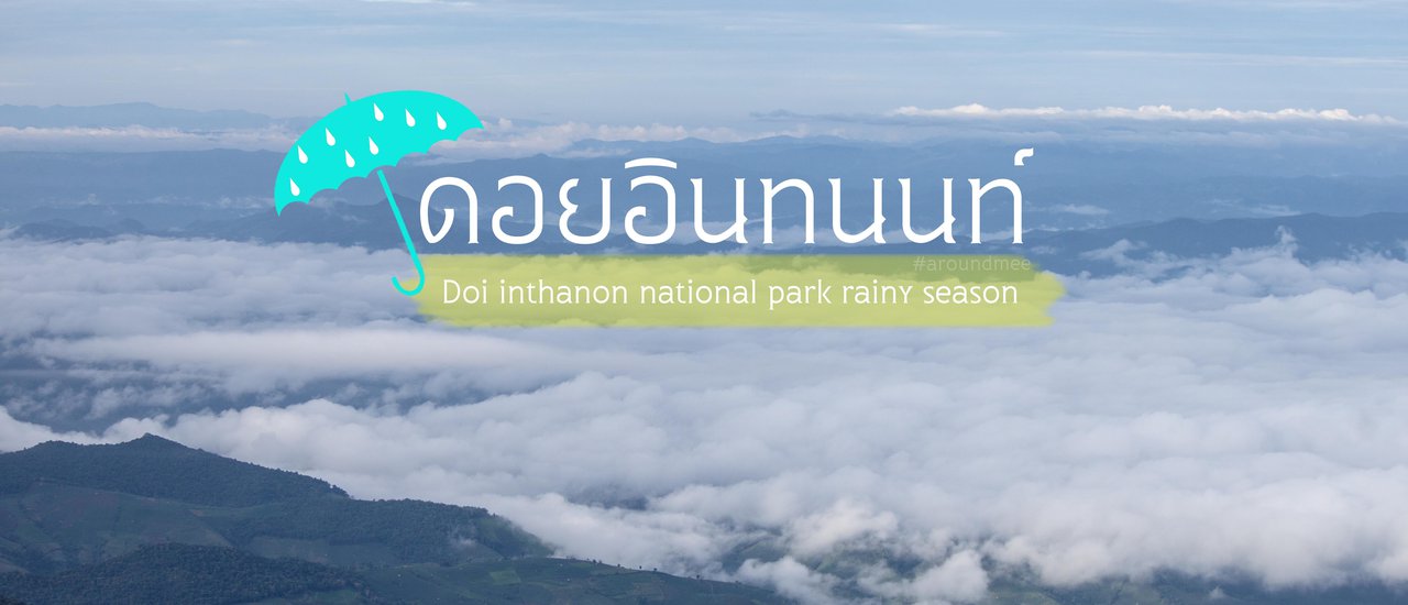 cover Take a train to admire the sea of mist at Doi Inthanon.