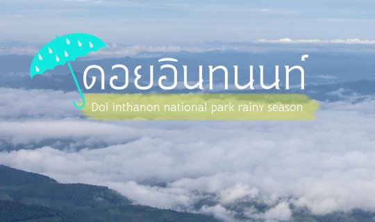 cover Take a train to admire the sea of mist at Doi Inthanon.