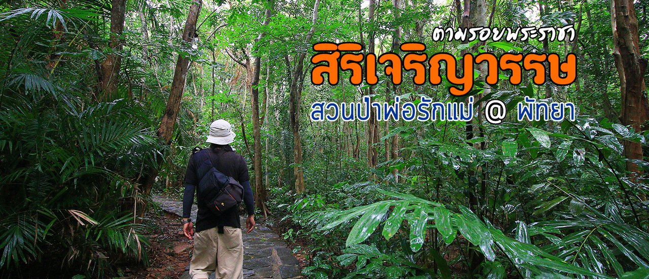 cover Following the King's Footsteps: The Sirikit Forest Restoration Project, a Royal Initiative