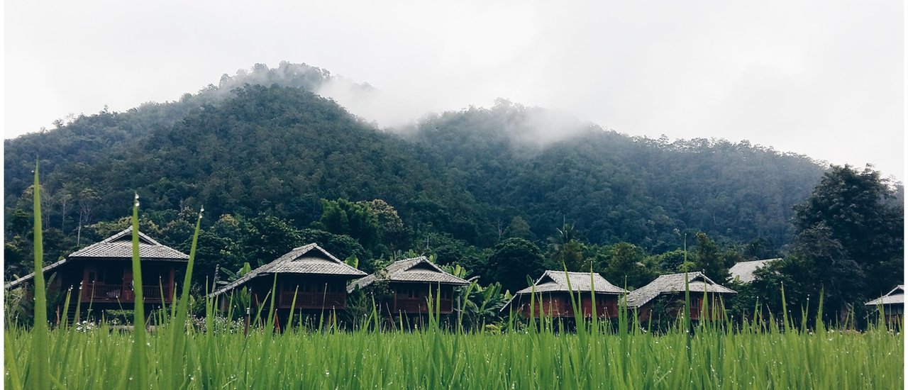 cover +++ อบอุ่นหัวใจกับเชียงใหม่ในหน้าฝน ทริปสั้น ๆ สองวันหนึ่งคืน +++