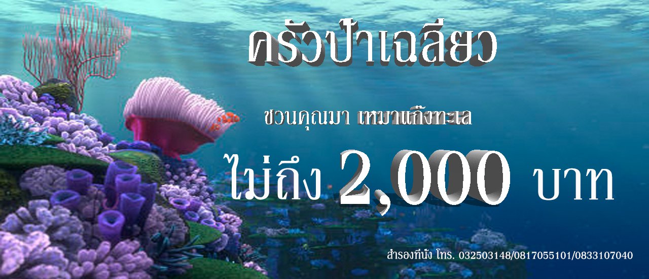 cover Aunt Chalieo's kitchen invites you to join the "Gang of the Sea" for less than 2,000 baht.