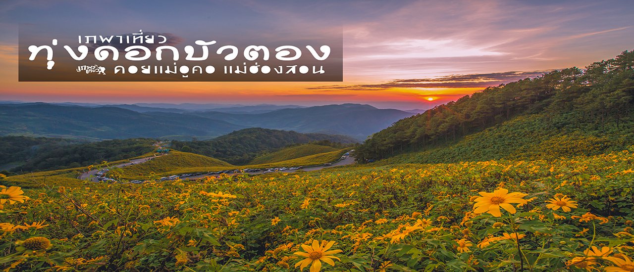 cover Visiting Tung Bua Tong Flower Field, Doi Mae U Kho, Khun Yuam, Mae Hong Son