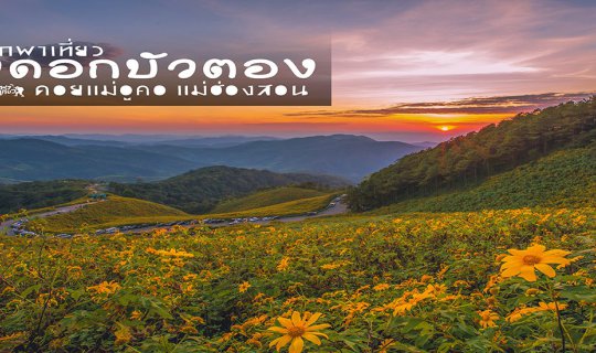 Cover Visiting Tung Bua Tong Flower Field, Doi Mae U Kho, Khun Yuam, Mae H...