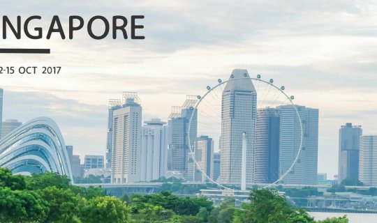 cover Singapore | No slow life.