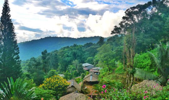cover Travel in late rainy season, early winter. Take a sleeper train to the north, Chiang Mai! 🚂🚂