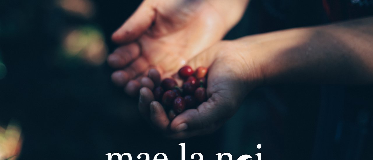 cover A Land of Enchantment: Tales of Mae La Noi | The King's Legacy in Fields, Coffee, and Sheep, a Place You'll Never Want to Leave.