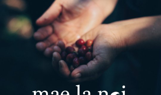 cover A Land of Enchantment: Tales of Mae La Noi | The King's Legacy in Fields, Coffee, and Sheep, a Place You'll Never Want to Leave.