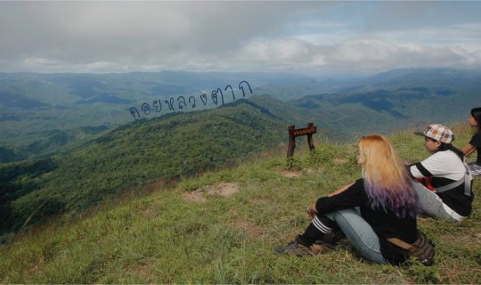 cover Why walk almost to death? On "Doi Luang Tak"