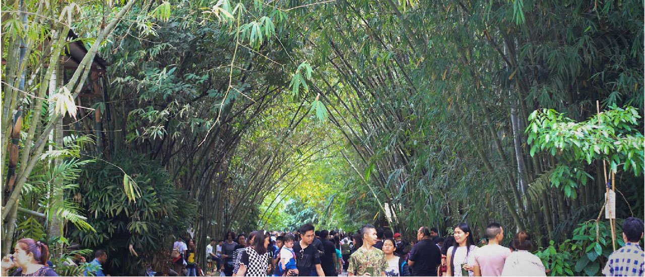 cover Bamboo Garden of Joy, Pa Phai Market, Khuan Khanun District, Phatthalung Province, Thailand.