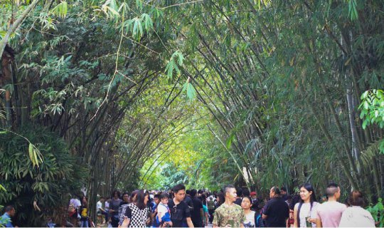 Cover Bamboo Garden of Joy, Pa Phai Market, Khuan Khanun District, Phattha...