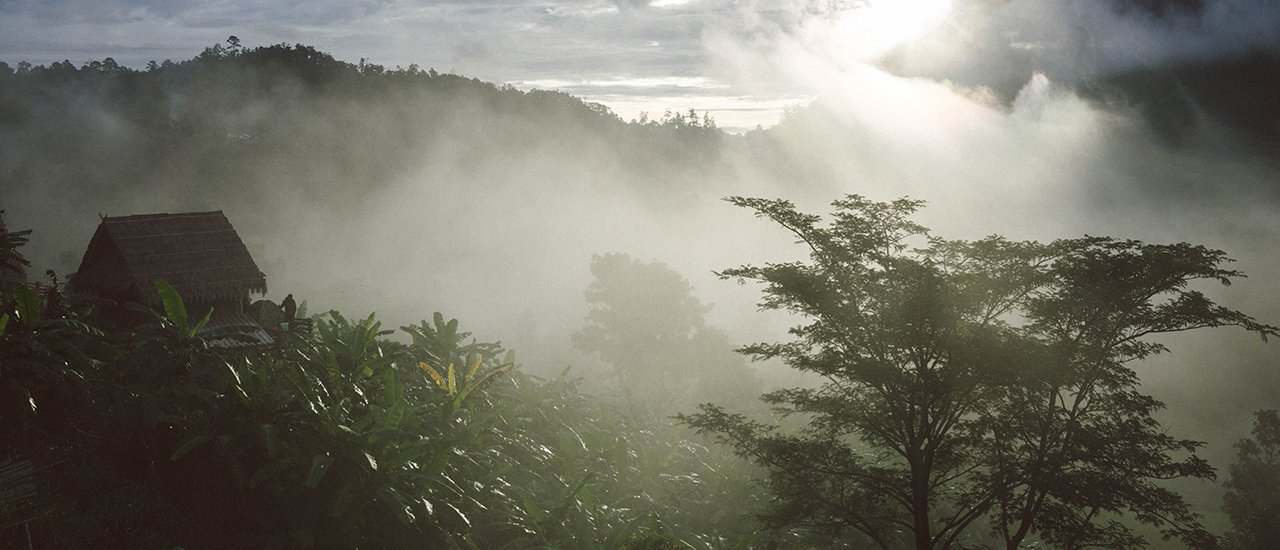 cover Mist .. In the embrace | Chiang Dao