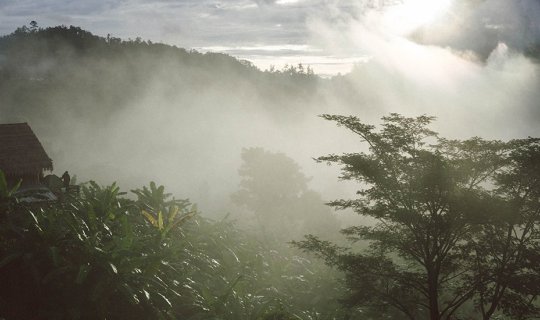 Cover Mist .. In the embrace | Chiang Dao...