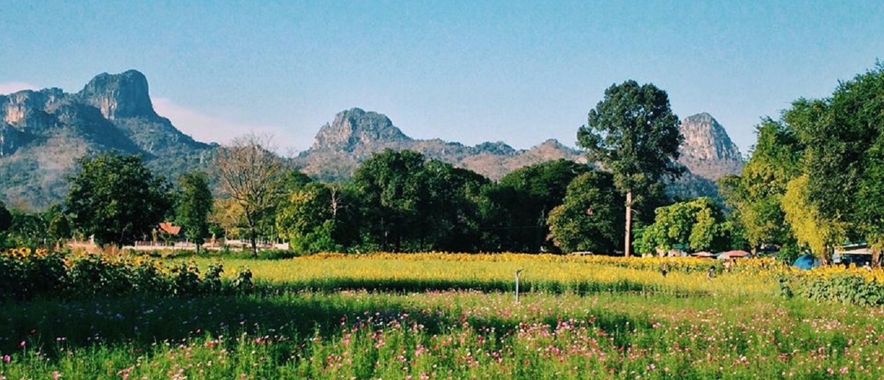 cover Lopburi: City of Enchanting Flower Fields