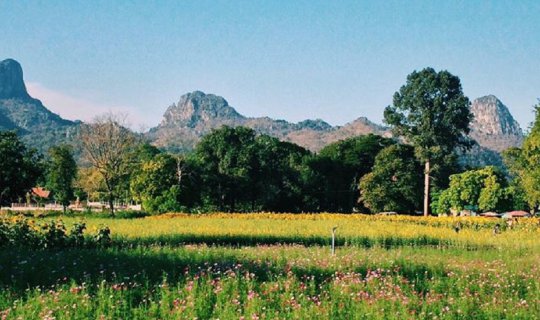 Cover Lopburi: City of Enchanting Flower Fields...