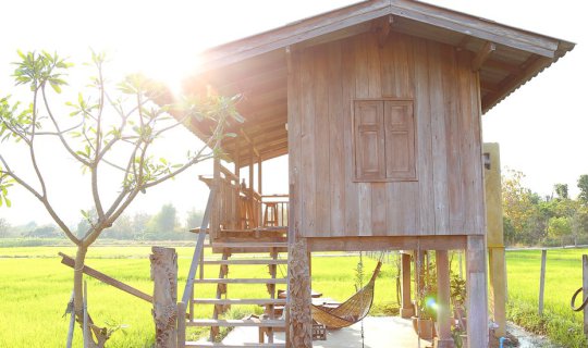 Cover "Kwan Khao Homestay" - A classic homestay amidst the rice fields. 🌾...