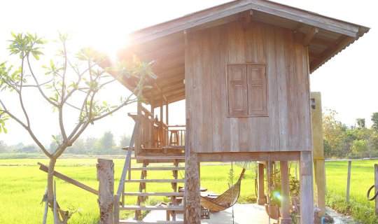 cover "Kwan Khao Homestay" - A classic homestay amidst the rice fields. 🌾