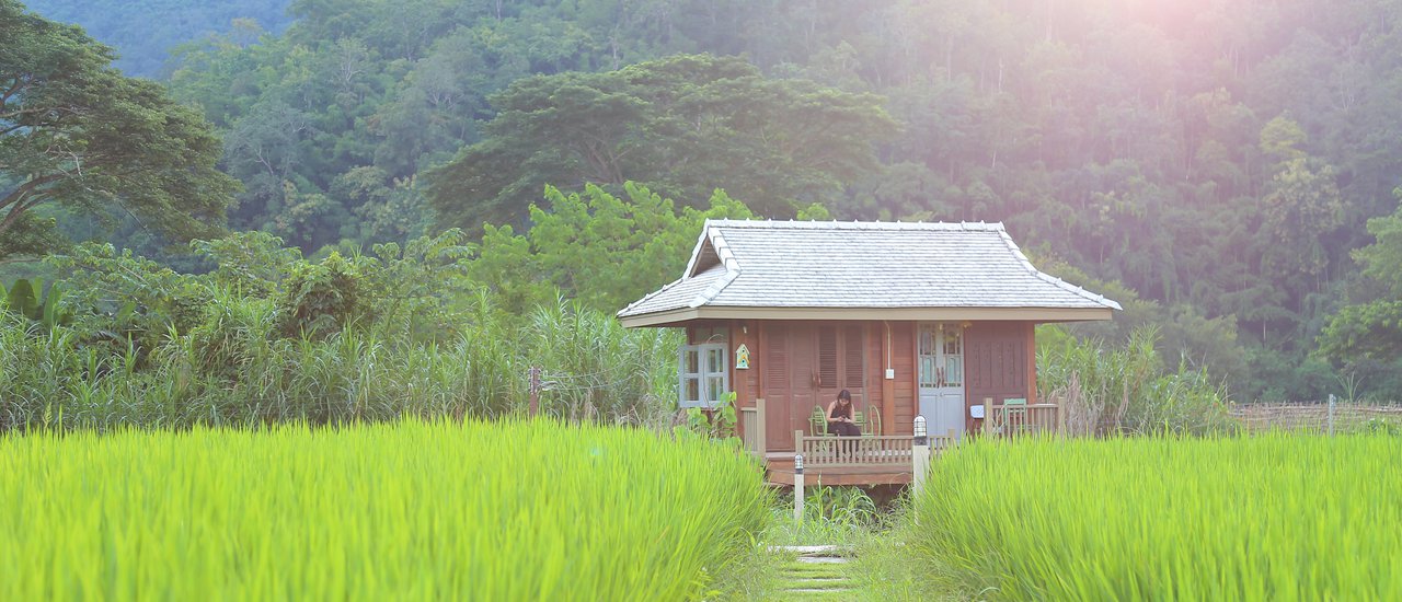 cover Vacation time... off to sleep in the rice fields of Samoeng!🌾 😴