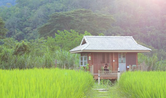 cover Vacation time... off to sleep in the rice fields of Samoeng!🌾 😴