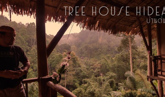 cover A harmonious blend of lush forests and tranquil streams defines the essence of Baan Ton Mai Mae Ma, nestled in the embrace of Chiang Dao, Chiang Mai.