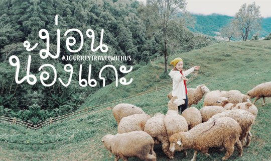 cover Come and visit!► The latest check-in point on Doi Pha Tang, Chiang Mai, where you can meet adorable sheep.🐑💭