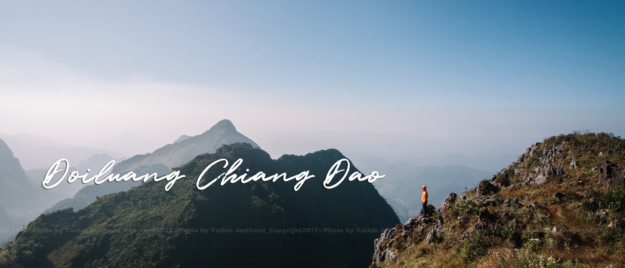 cover Young man: Hike the ridge of Doi Luang Chiang Dao and admire the rare cold-weather flowers.