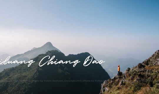 Cover Young man: Hike the ridge of Doi Luang Chiang Dao and admire the rar...