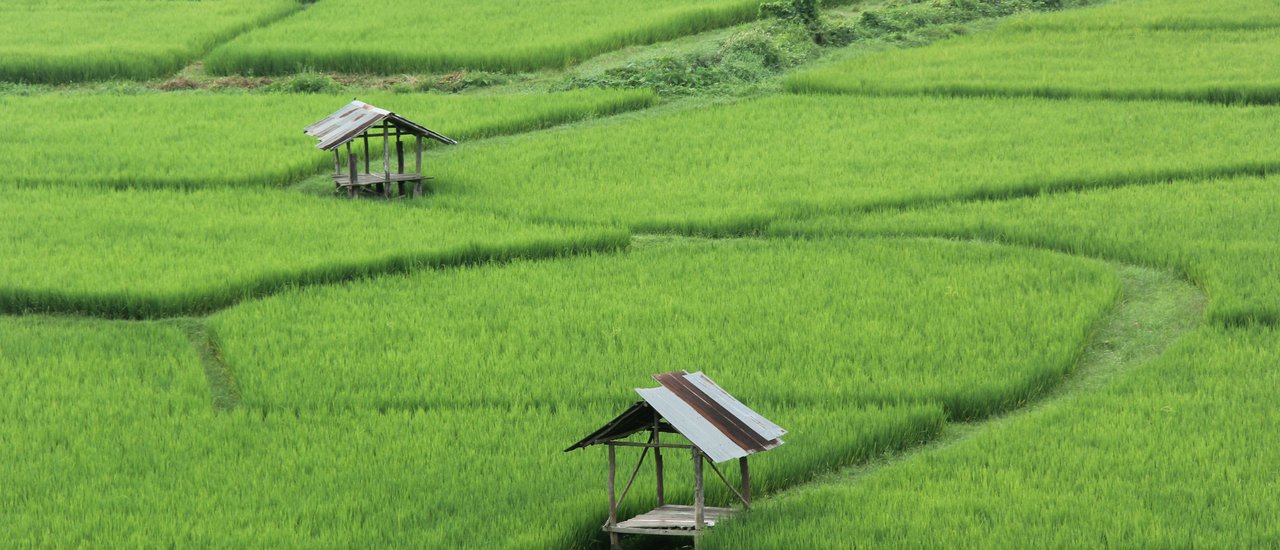 cover C view home: A mountain embrace in Pua District, Nan Province.