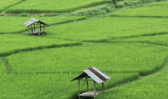 cover C view home: A mountain embrace in Pua District, Nan Province.