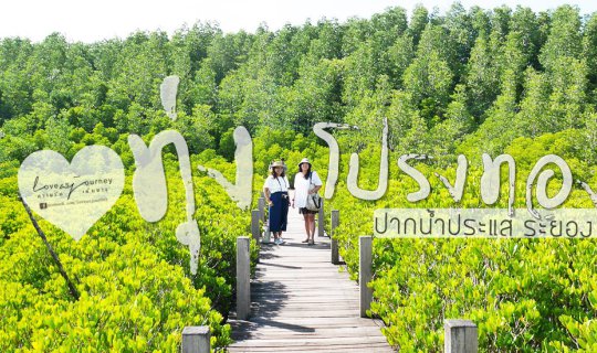 cover Thung Prong Thong, Pak Nam Prasae, Rayong, Thailand.