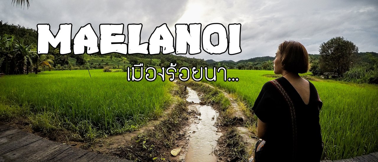 cover Freelance with a good mood: Mae La Noi... the city of a hundred rice fields. Because of our love, we... met.