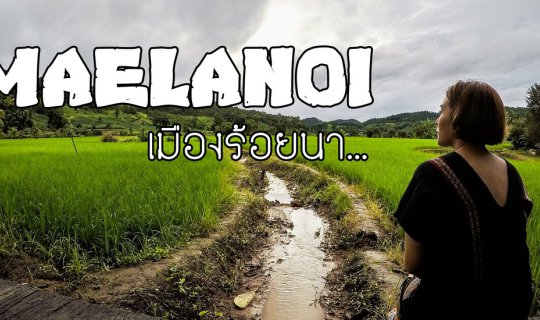 cover Freelance with a good mood: Mae La Noi... the city of a hundred rice fields. Because of our love, we... met.