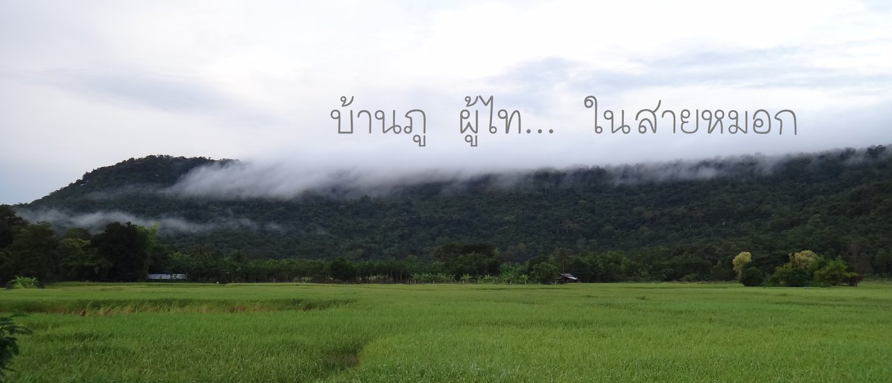 cover Ban Phu Thai in the Mist (2017-11-08)