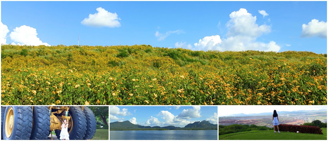 cover Visit Mae Moh Mine in Lampang, where the Tung Bua Tong flowers are in full bloom!