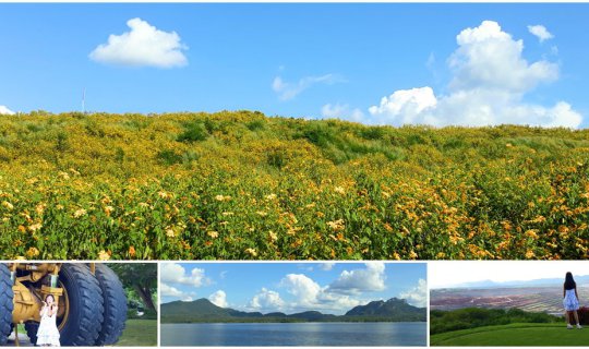 Cover Visit Mae Moh Mine in Lampang, where the Tung Bua Tong flowers are i...