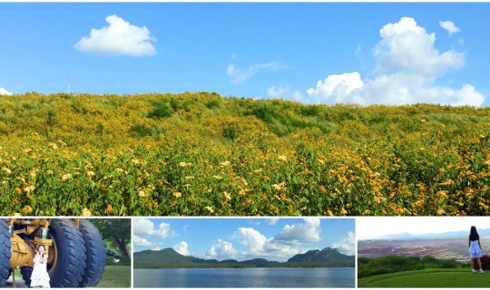 cover Visit Mae Moh Mine in Lampang, where the Tung Bua Tong flowers are in full bloom!