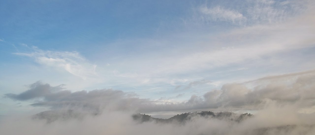 cover Embrace the Mist, Wrap Yourself in the Chill @ Khao Kho - Phu Thap Boek