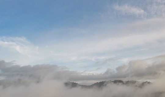 cover Embrace the Mist, Wrap Yourself in the Chill @ Khao Kho - Phu Thap Boek
