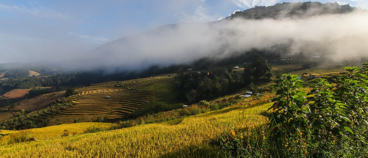 cover Without a personal vehicle, it is still possible to visit the stunning rice terraces of Ban Pa Bong Piang.